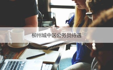 柳州城中区公务员待遇与平均工资水平解析及机电产品批发行业概况